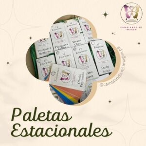 Kit de paletas colorimetria 12 estaciones